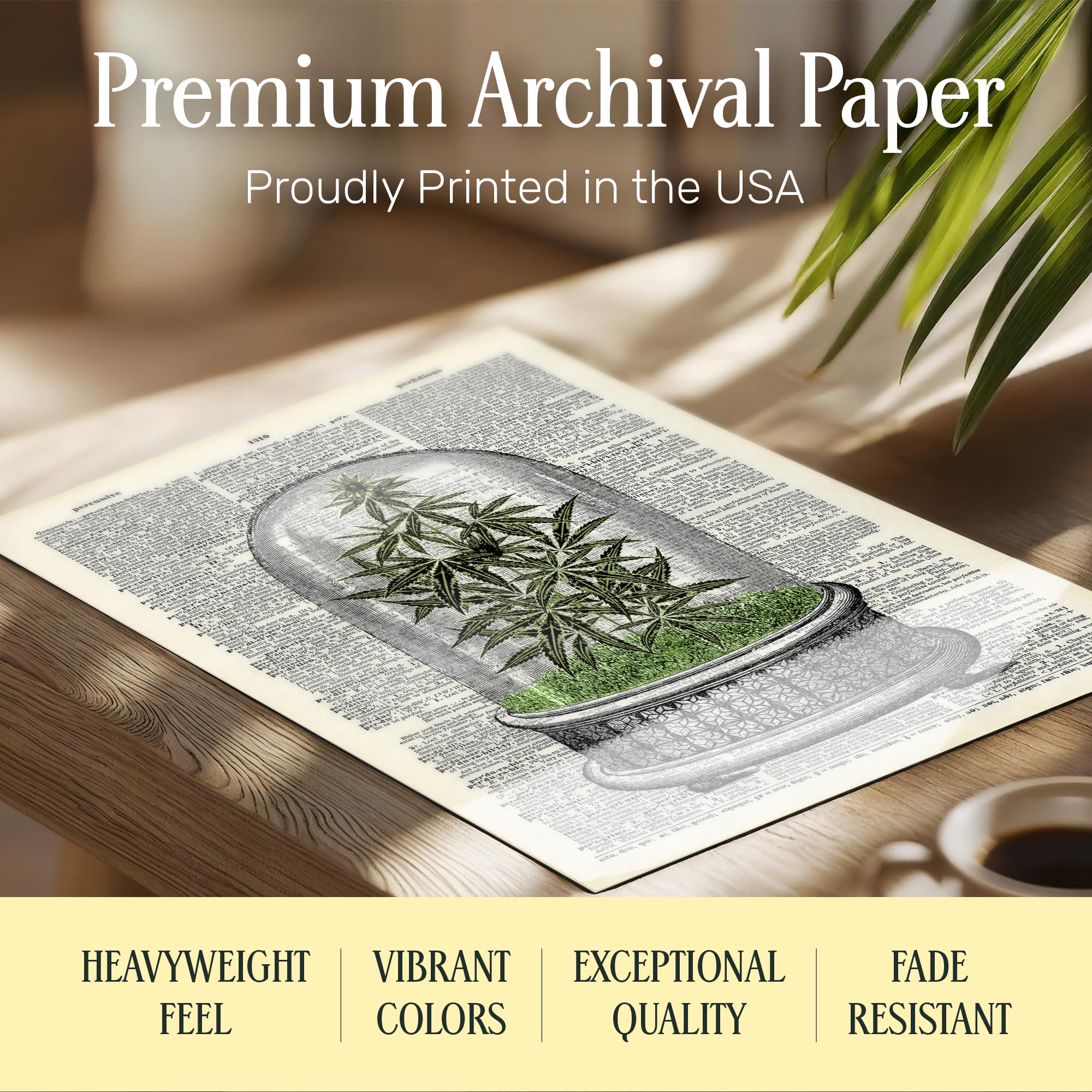Amazon.com: Weed Dictionary Art LARGE 11x14 - Vintage Cannabis